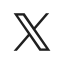 X Twitter